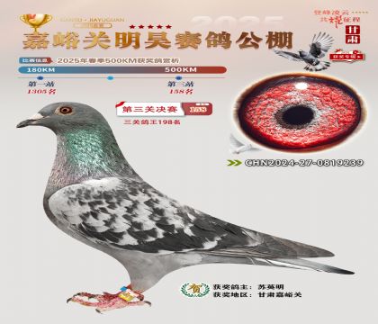 P(gun)껛Qِ158