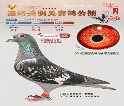 P(gun)껛Qِ161