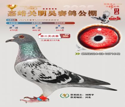 P(gun)껛Qِ164