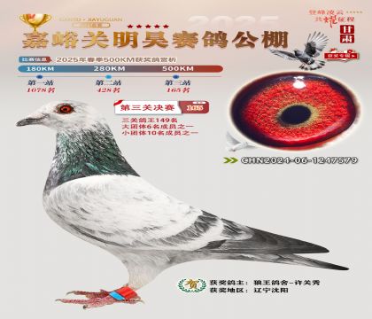 P(gun)껛Qِ165
