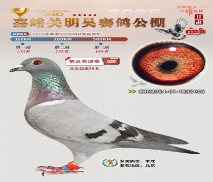 P(gun)껛Qِ168