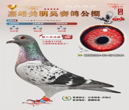 P(gun)껛Qِ169