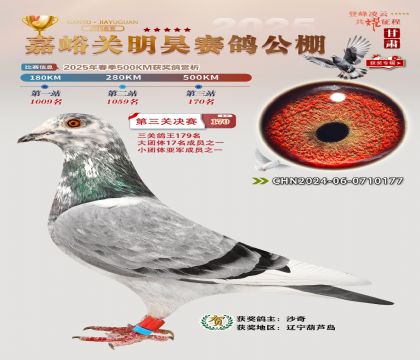 P(gun)껛Qِ170