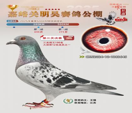 P(gun)껛Qِ171