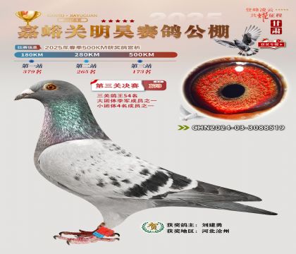 P(gun)껛Qِ173