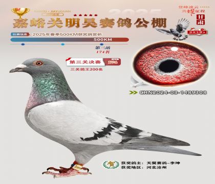 P(gun)껛Qِ174