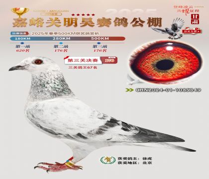 P(gun)껛Qِ176