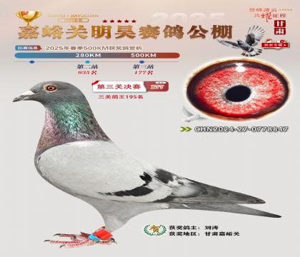 P(gun)껛Qِ177