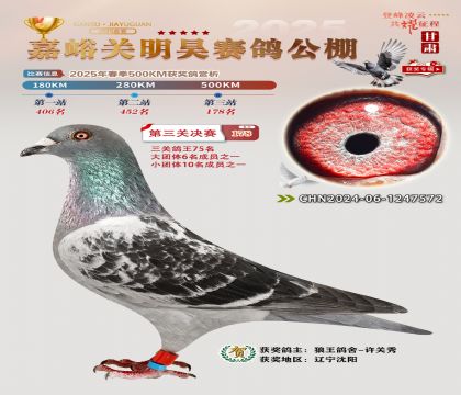 P(gun)껛Qِ178