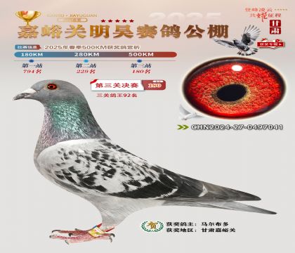 P(gun)껛Qِ180