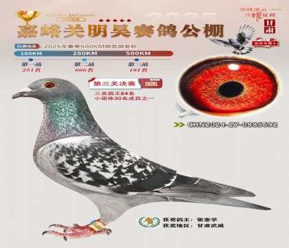 P(gun)껛Qِ181