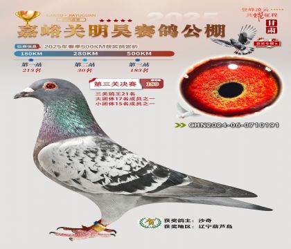 P(gun)껛Qِ183