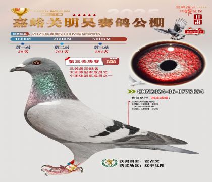 P(gun)껛Qِ184