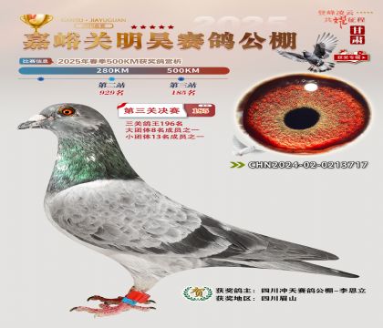 P(gun)껛Qِ185