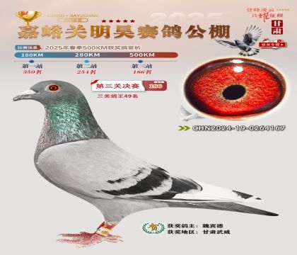 P(gun)껛Qِ186