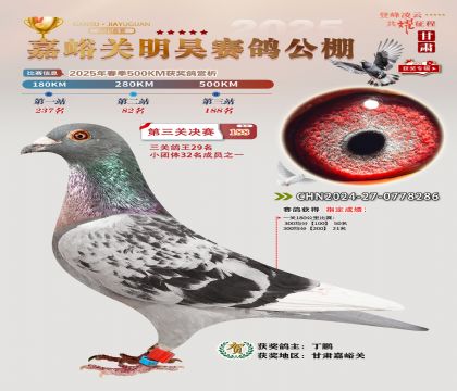 P(gun)껛Qِ188