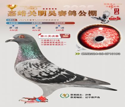 P(gun)껛Qِ189