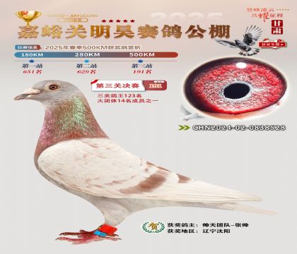 P(gun)껛Qِ191