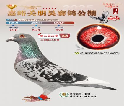 P(gun)껛Qِ192