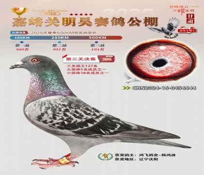 P(gun)껛Qِ194