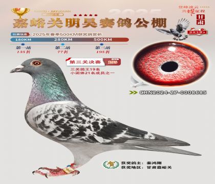 P(gun)껛Qِ195