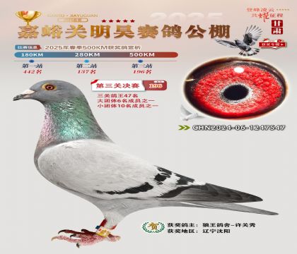 P(gun)껛Qِ196