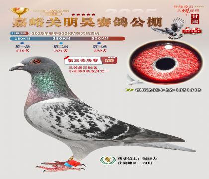 P(gun)껛Qِ199