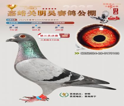 P(gun)껛Qِ200