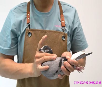 r911ֱ䱣rֱŮ