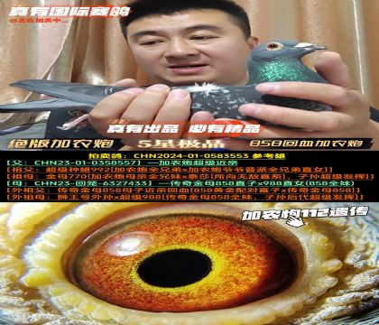 ^r(nng)ڡ858Ѫr(nng)