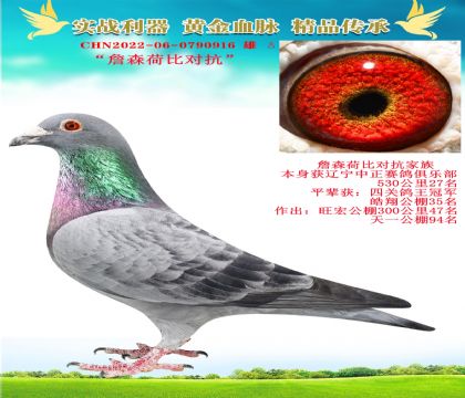 ղɭɱȌ
