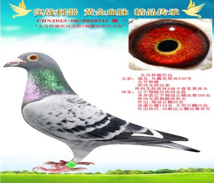 o^̖NXԴ_o
