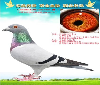^ֱOX䌦OŮ