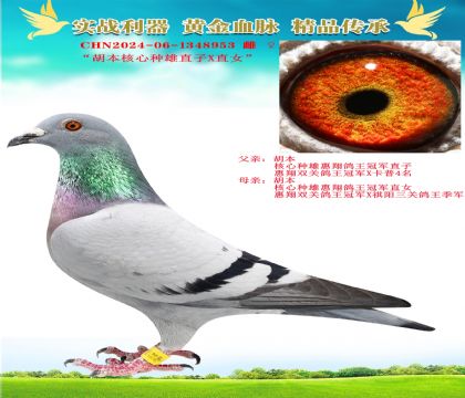 ķNۻ܊ֱXֱŮ