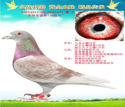 ˵˹740ֱO
