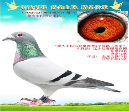 ɣʿW늽ͯ.tQِ46