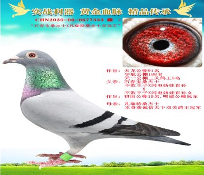 ʯɣʿXɣʿ