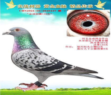ӱ.(chung)134