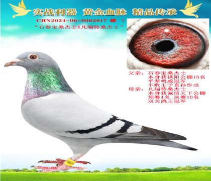 “石春寶桑杰士X凡瑞特桑杰士”