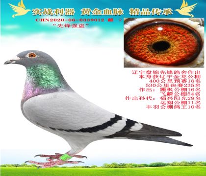 “先鋒強(qiáng)盜.金龍預(yù)賽18名.決賽235名”