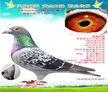 “鎮(zhèn)棚種雄.天龍四關(guān)13名”