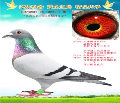 “總教頭直孫X傳奇配對(duì)孫女”