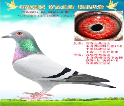“石春寶桑杰士X凡瑞特桑杰士”