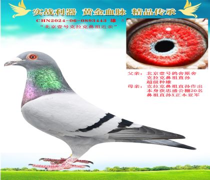 “克拉克鼻祖近親”