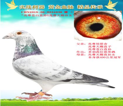 “兆尊館蒼白近親”