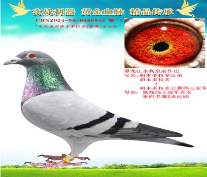 “永利皇府胡本多拉多”