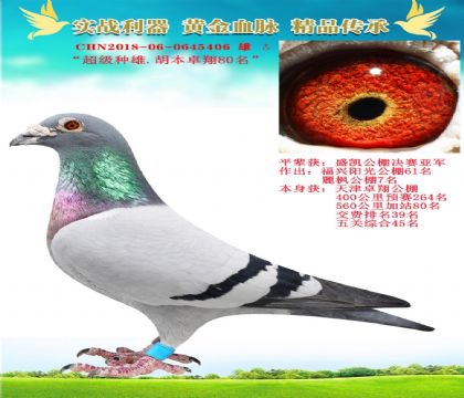 “超級(jí)種雄.胡本卓翔80名”