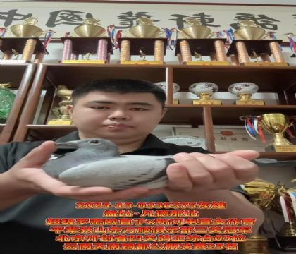 ٱѪwȳ_ܚWֱXWֱŮ