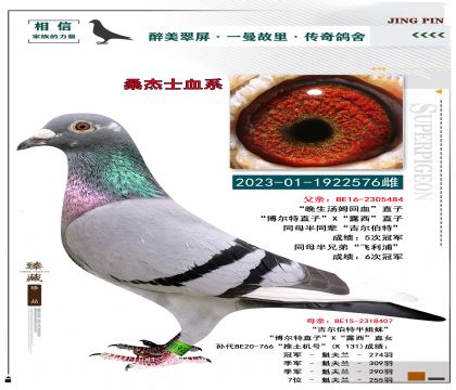 ɣʿѪϵ ķѪ