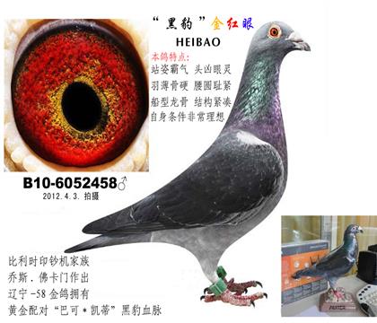游